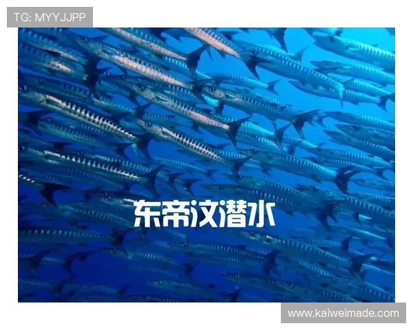 跟着国足看世界从东帝汶出发探索这个人口一百三十四万的神秘岛国